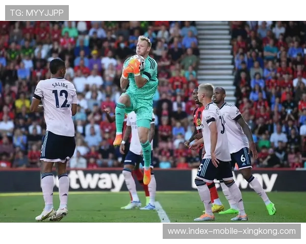 阿森纳中路推进连连引发禁区混乱 阿森纳中路推进连连引发禁区混乱