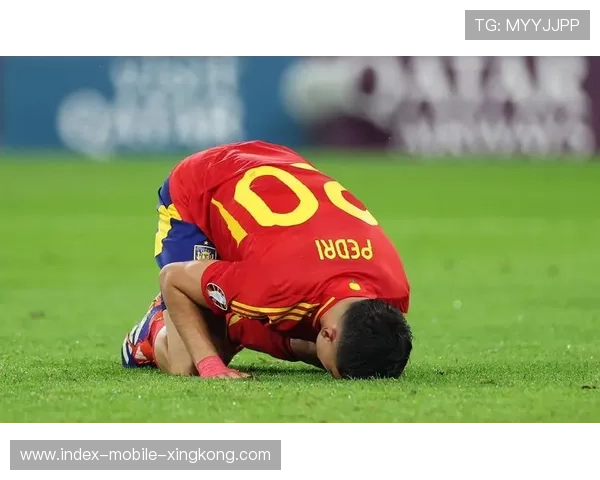 球员在欧洲杯比赛中体现出明显成长轨迹,欧洲杯球员出场数据 球员在欧洲杯比赛中体现出明显成长轨迹,欧洲杯球员出场数据